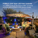 PURPLE LEAF Large Solar Yard Parasol Double Top Square Patio Umbrella with Lights